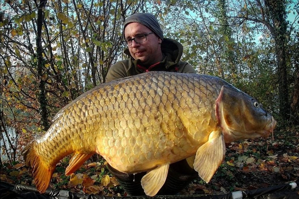 Passion for Bait catture14-min