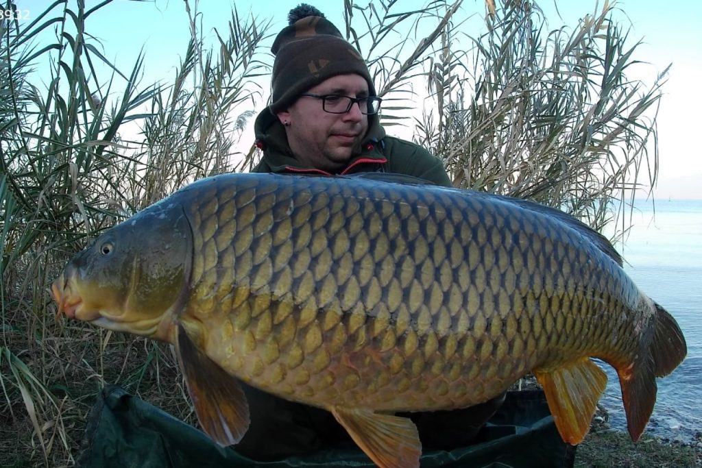 Passion for Bait catture18-min