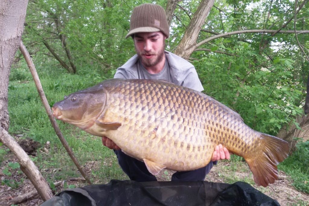 Passion for Bait catture21-min