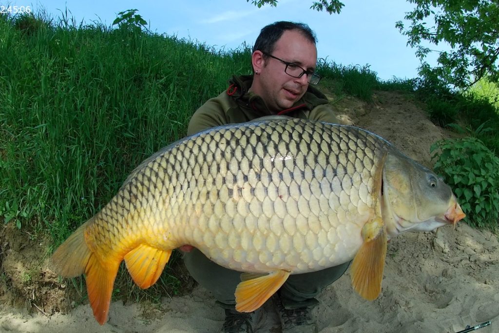 Passion for Bait catture22-min